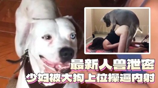 重口人兽来袭-少妇被大狗上位操逼内射狗精液